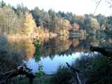 Herbstfeeling : See, hochholz, Walldorf, Fische, Herbst
